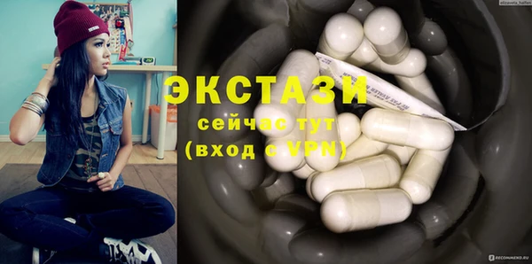 дживик Богородицк