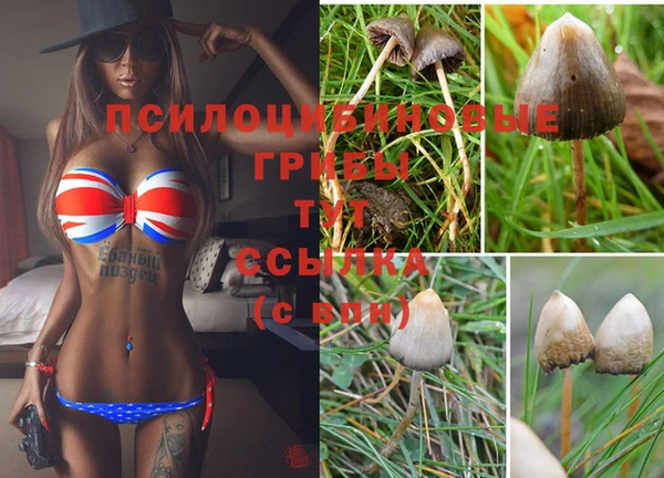 дживик Богородицк