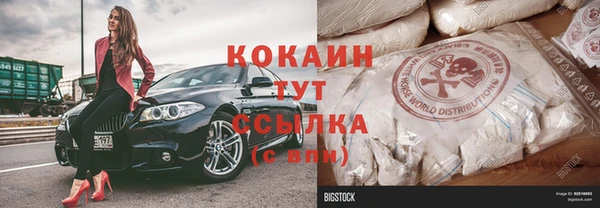 дживик Богородицк